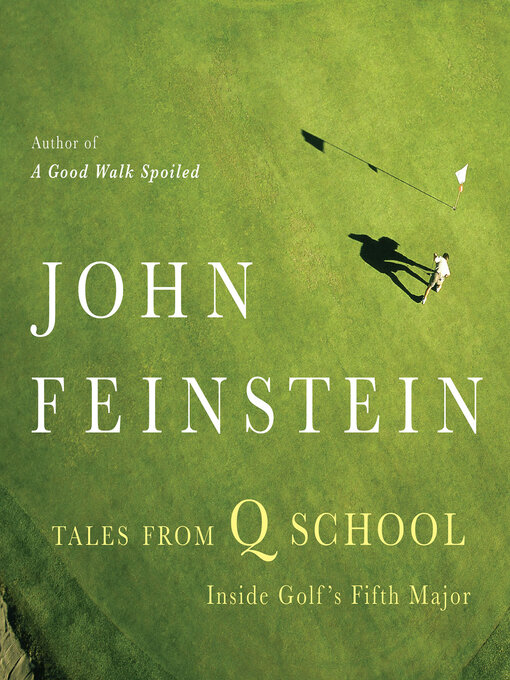Cover image for Tales from Q School